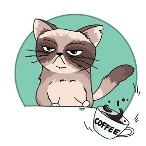 Бобров Кирилл 