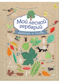 Мой лесной гербарий