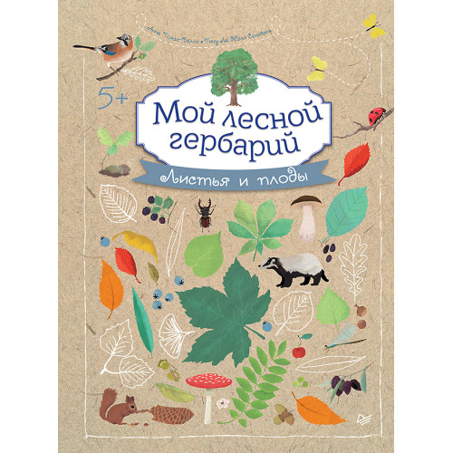 Мой лесной гербарий