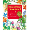 Мой первый гербарий. Цветы и листья