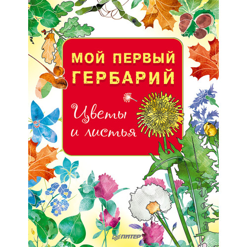 Мой первый гербарий. Цветы и листья