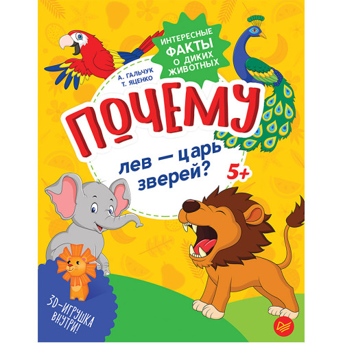 Почему лев — царь зверей?  Интересные факты о диких животных