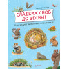 Сладких снов до весны! Как зимуют животные и насекомые