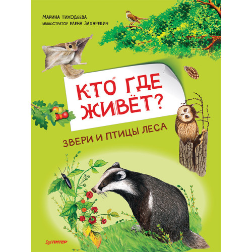 Кто где живёт? Звери и птицы леса