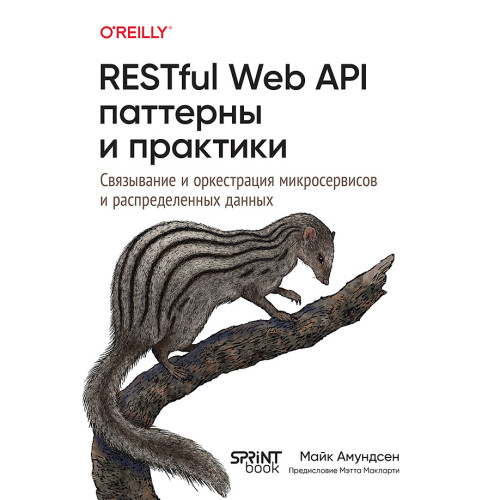 RESTful Web API паттерны и практики