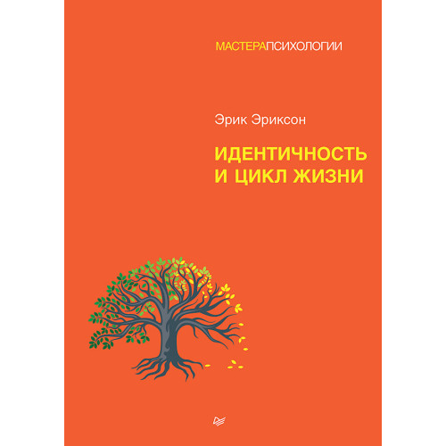 Идентичность и цикл жизни