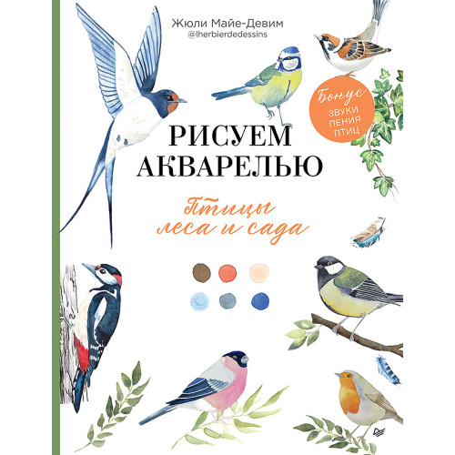 Рисуем акварелью: птицы леса и сада