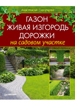 Газон, живая изгородь, дорожки на садовом участке