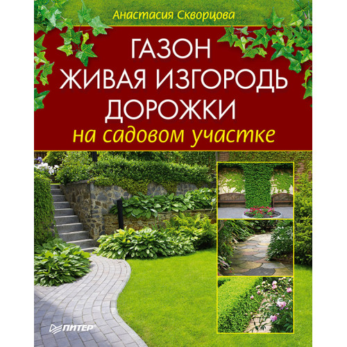Газон, живая изгородь, дорожки на садовом участке