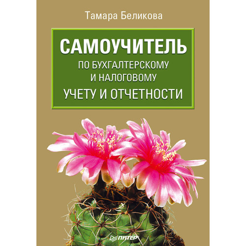 Самоучитель по бухгалтерскому и налоговому учету и отчетности