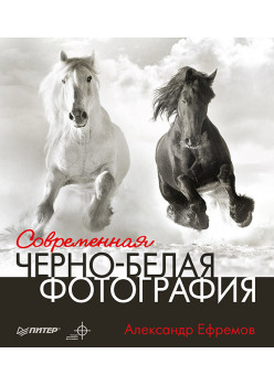 Современная черно-белая фотография