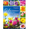 Цветники и клумбы
