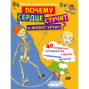 Почему сердце стучит, а живот урчит? 7+