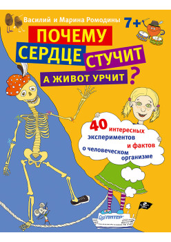 Почему сердце стучит, а живот урчит? 7+