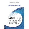 Бизнес, попавший в шторм. Как победить кризис
