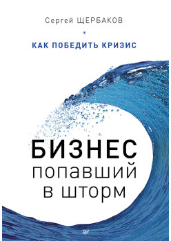 Бизнес, попавший в шторм. Как победить кризис