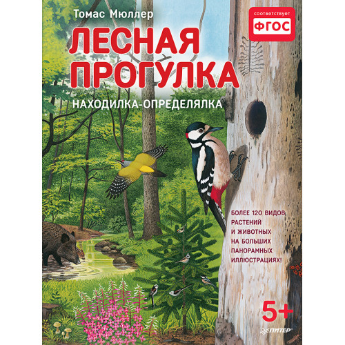 Лесная прогулка. Находилка-определялка с панорамными иллюстрациями.