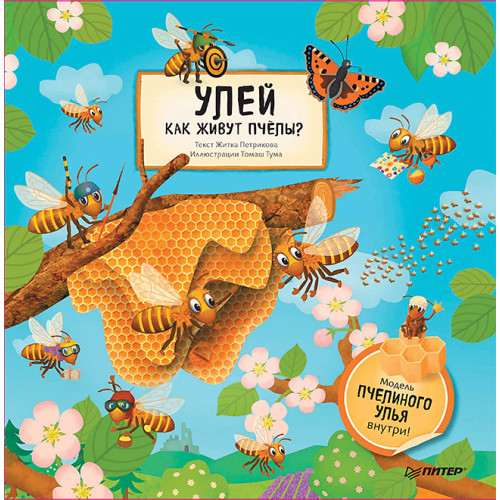 Улей. Как живут пчёлы?