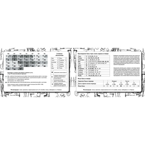 Дневник садовода-огородника на 3 года. 2018–2020