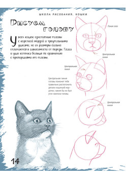Школа рисования. Кошки