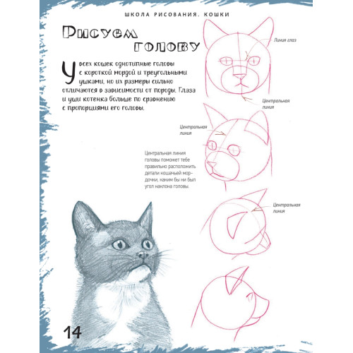 Школа рисования. Кошки