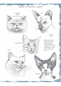 Школа рисования. Кошки