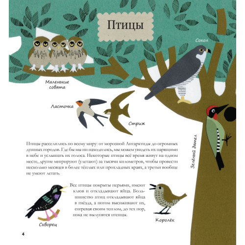 Книга природы. Мир вокруг - мой лучший друг! 3+