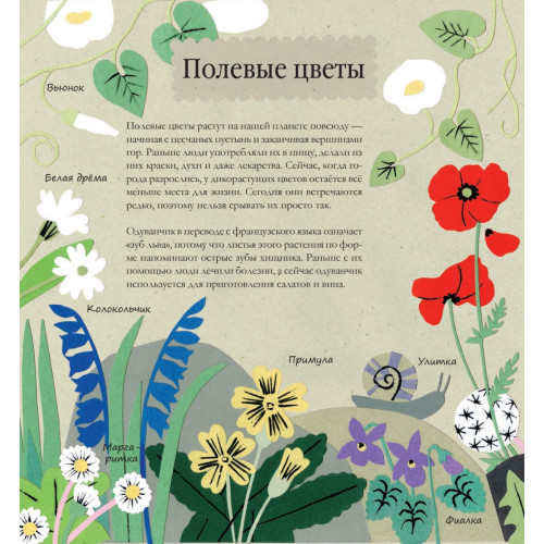 Книга природы. Мир вокруг - мой лучший друг! 3+