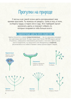 Мой цветочный гербарий 5+