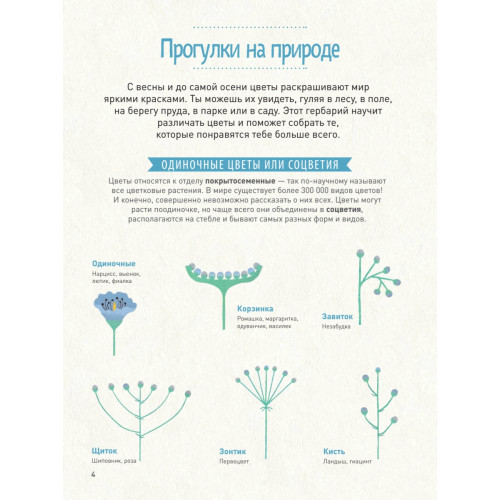 Мой цветочный гербарий 5+