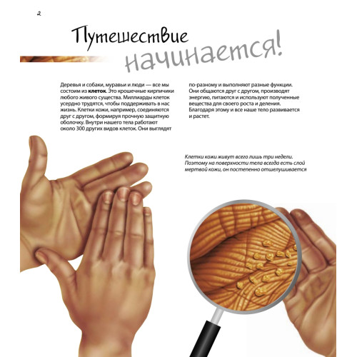 Путешествие в мир клетки. Нескучная наука