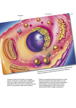 Путешествие в мир клетки. Нескучная наука