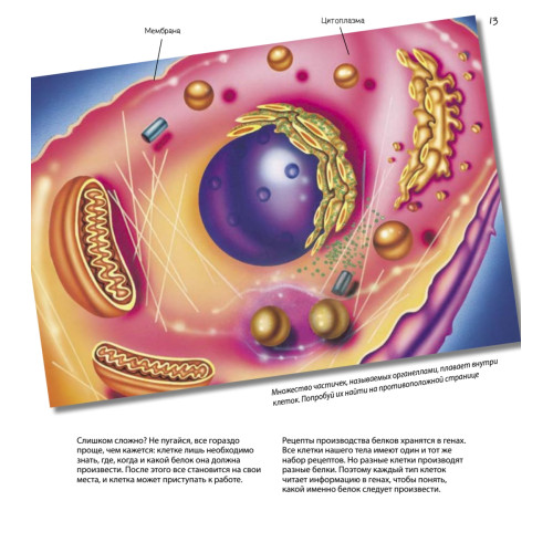 Путешествие в мир клетки. Нескучная наука