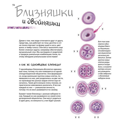 Удивительный мир генов. Нескучная наука.