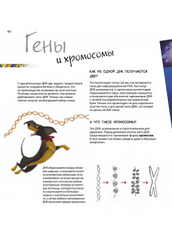 Удивительный мир генов. Нескучная наука.