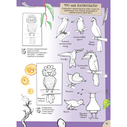 Удивительные животные со всего света! Более 100 обитателей Земли в разных стилях. Давай рисовать!