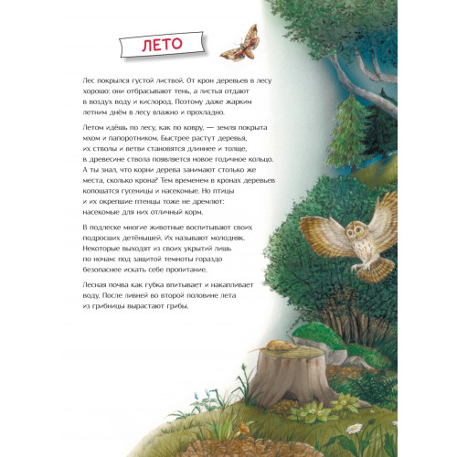 Лесной календарь