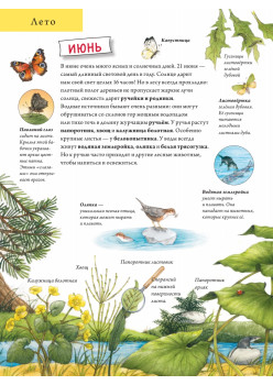 Лесной календарь