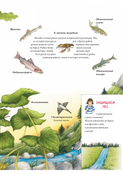 Лесной календарь