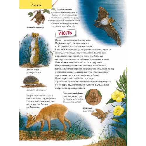 Лесной календарь