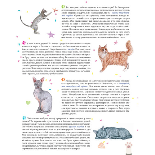 Мы - кошки