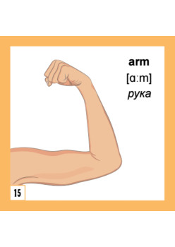 500 самых нужных английских слов и фраз. Флеш-карточки
