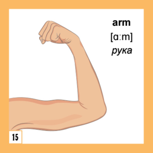 500 самых нужных английских слов и фраз. Флеш-карточки