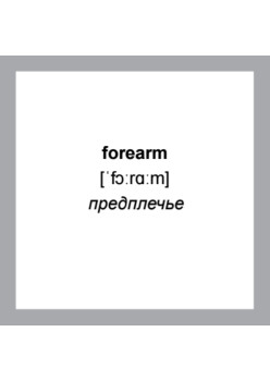 500 самых нужных английских слов и фраз. Флеш-карточки