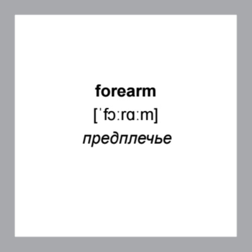 500 самых нужных английских слов и фраз. Флеш-карточки