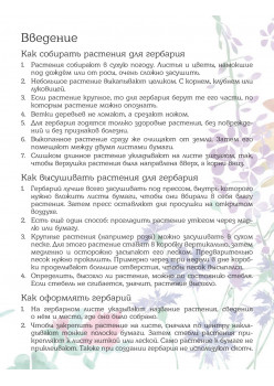 Мой первый гербарий. Цветы и листья