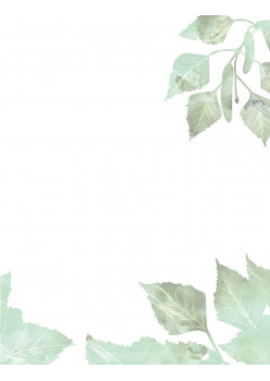 Мой первый гербарий. Цветы и листья