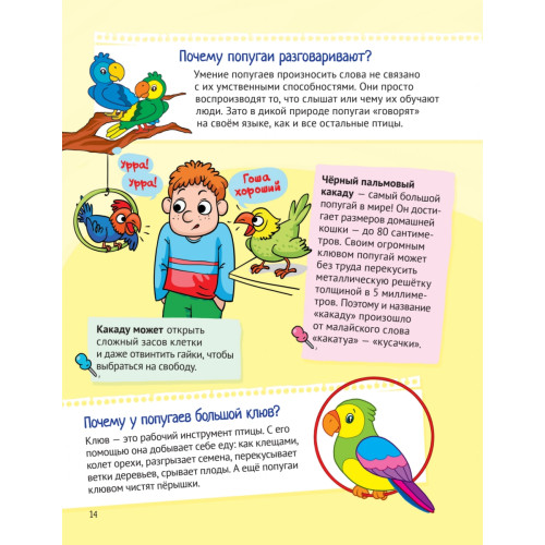 Почему у кроликов длинные уши? Интересные факты о домашних животных