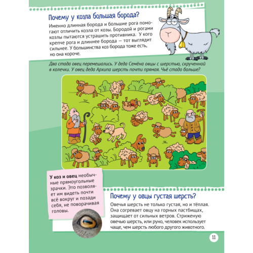 Почему корова постоянно жуёт? Интересные факты о животных на ферме