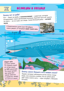 Почему в глубинах живут чудовища? Интересные факты о морских обитателях